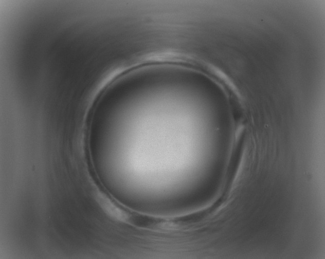 X0000083011463200702091238