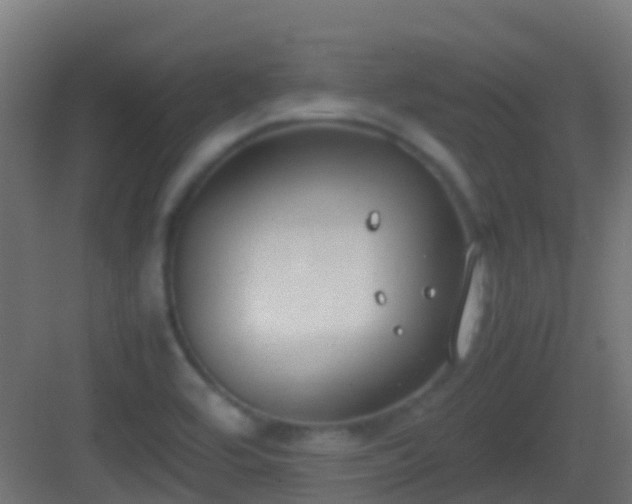 X0000083011464200702091238