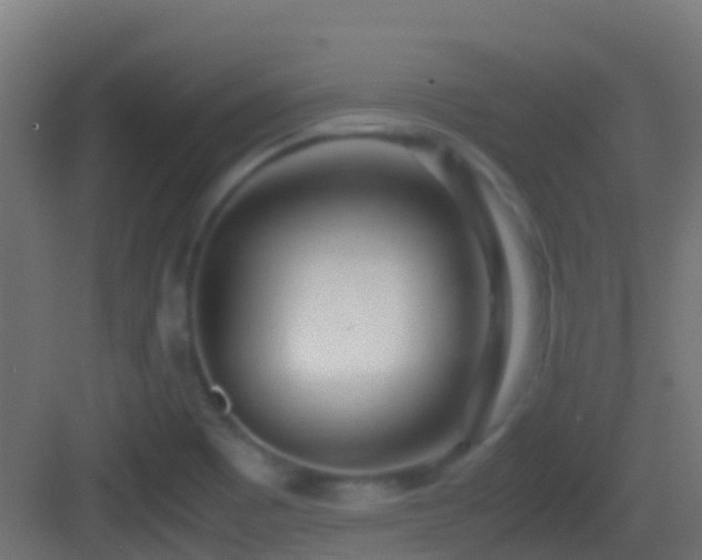 X0000083011465200702091238