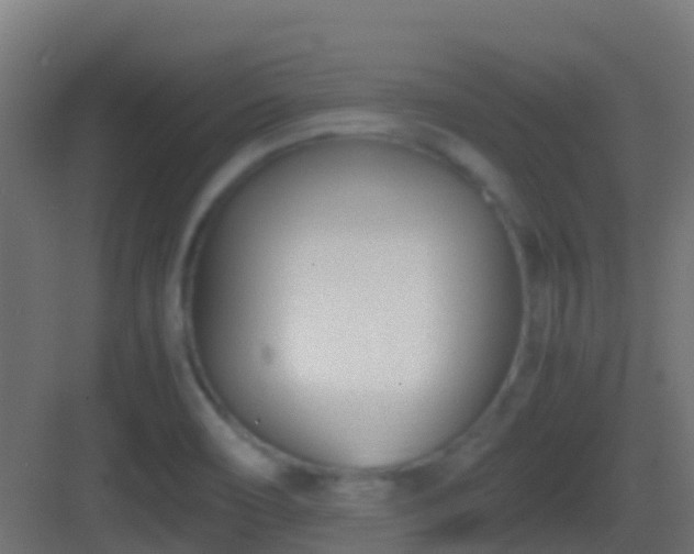 X0000083011466200702091238