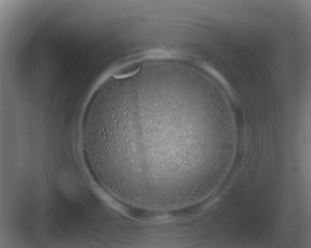 X0000083011467200702091238