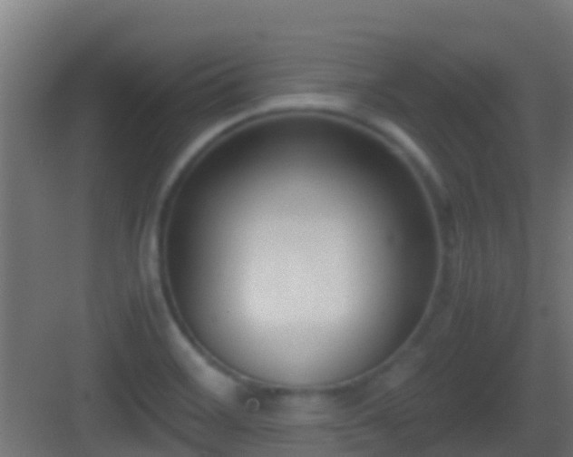 X0000083011468200702091238