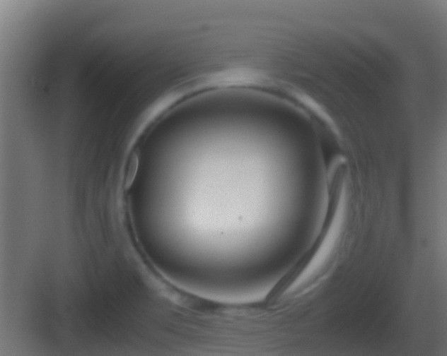 X0000083011469200702091238