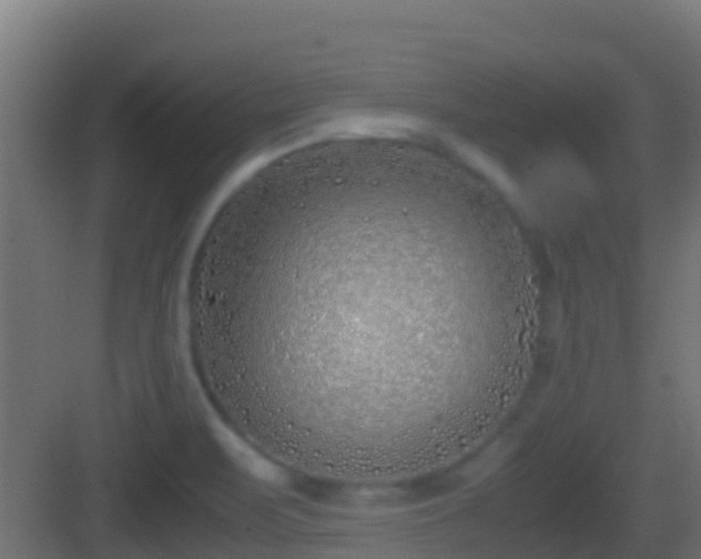 X0000083011471200702091238