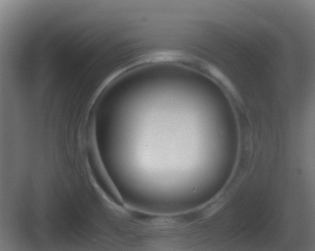 X0000083011473200702091238