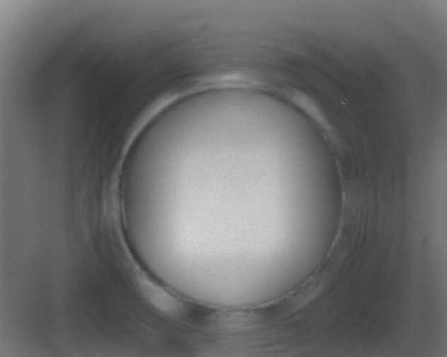 X0000083011474200702091238