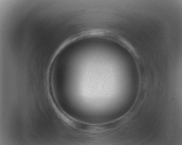 X0000083011475200702091238