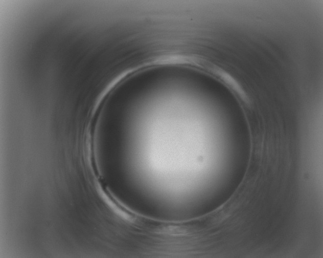 X0000083011476200702091238