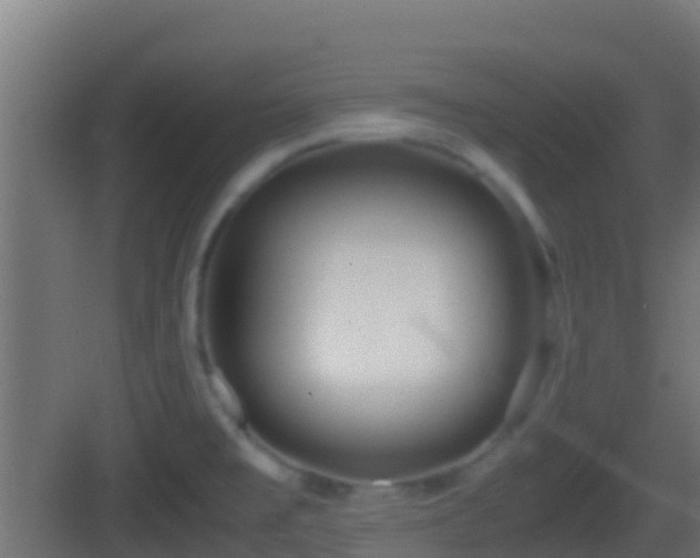 X0000083011477200702091238