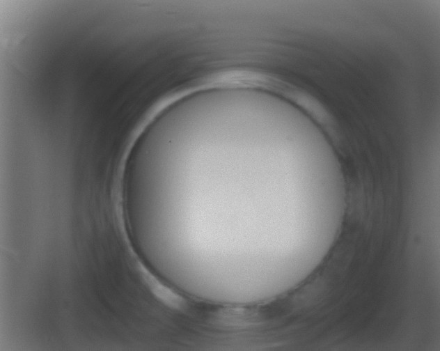 X0000083011478200702091238