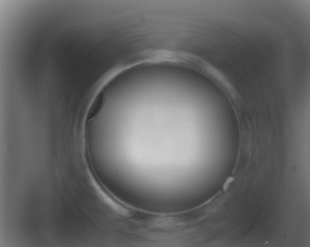 X0000083011479200702091238