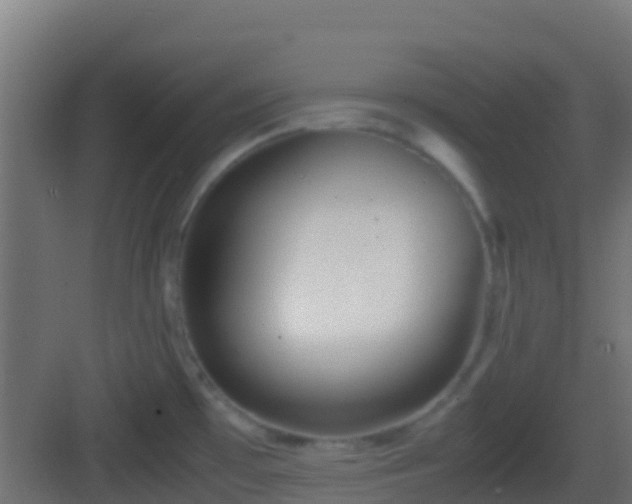 X0000083011481200702091238