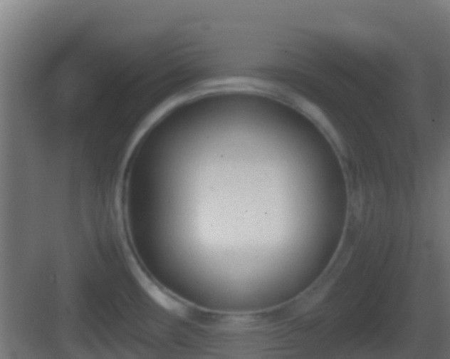 X0000083011482200702091238