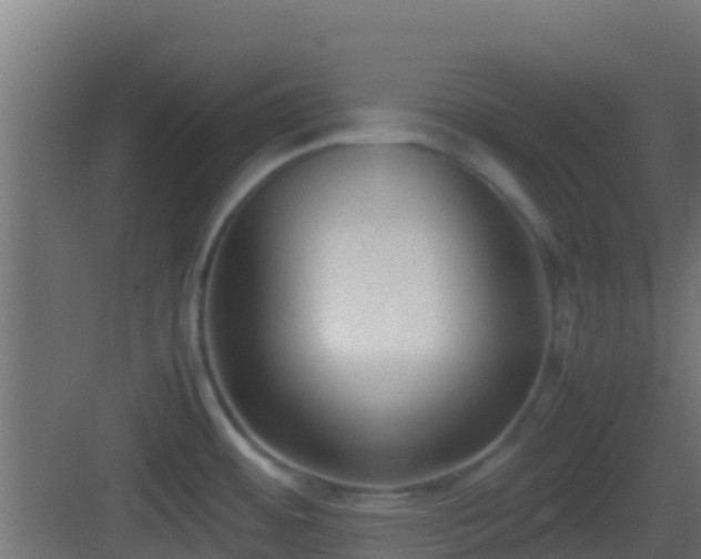 X0000083011484200702091238