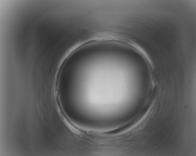 X0000083011485200702091238