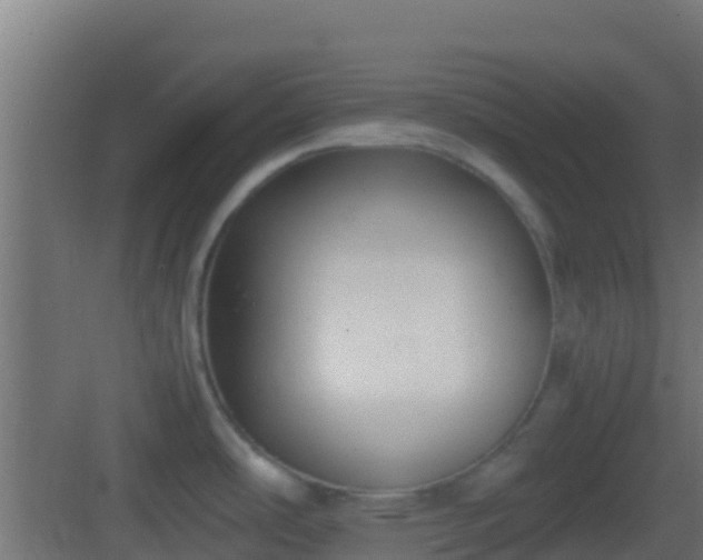 X0000083011486200702091238