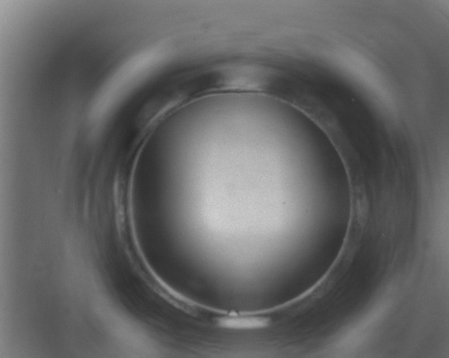 X0000083011487200702091238