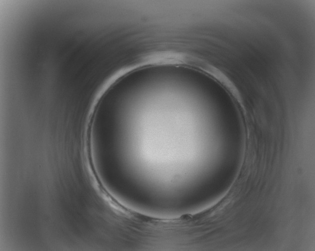 X0000083011488200702091237