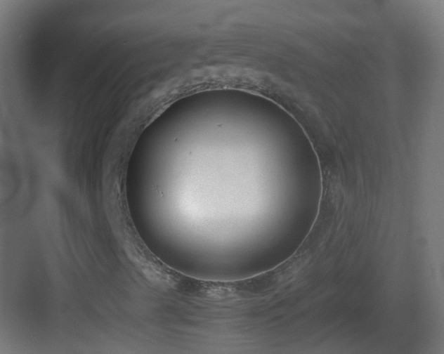 X0000083011489200702091237