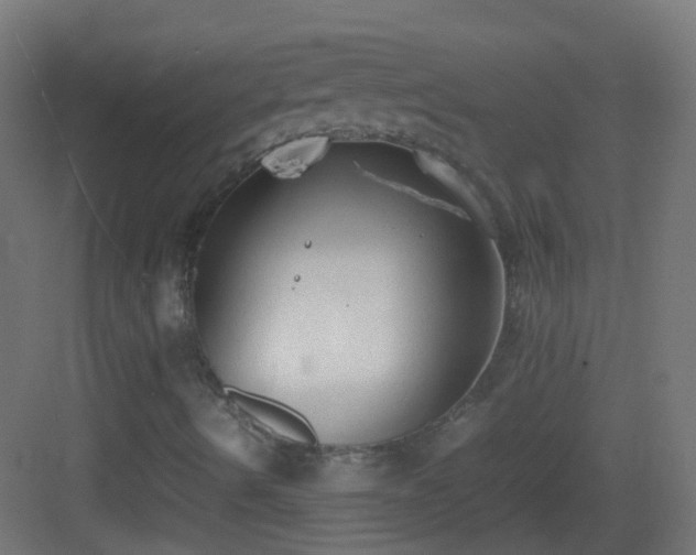 X0000083011490200702091237