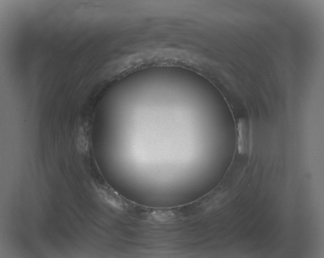 X0000083011491200702091237