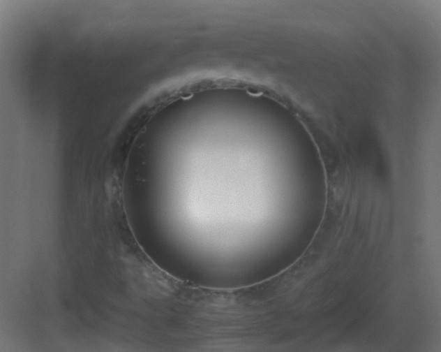 X0000083011495200702091237