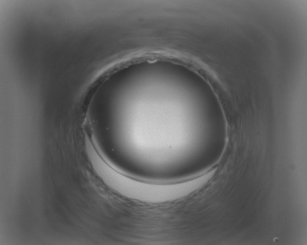 X0000083011496200702091237