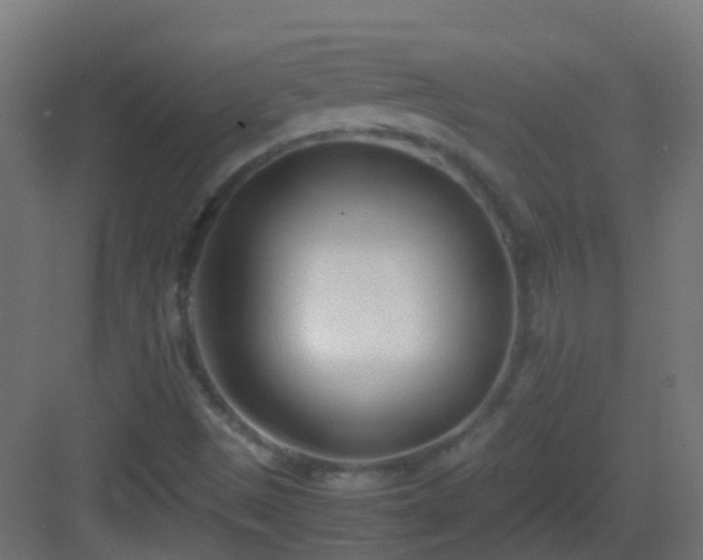 X0000083011497200702091237