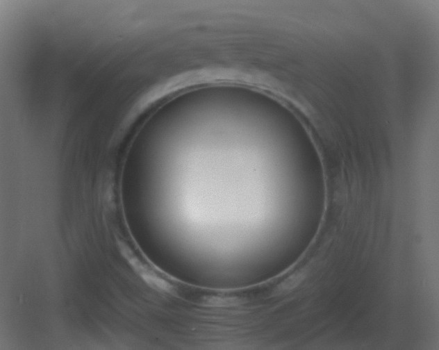 X0000083011499200702091237