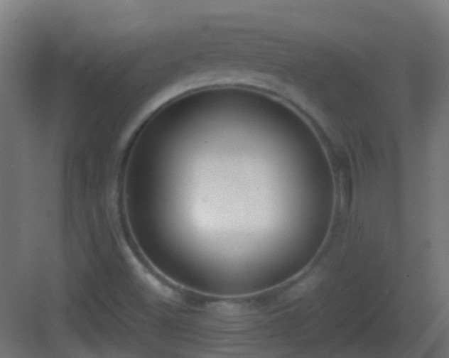 X0000083011500200702091237