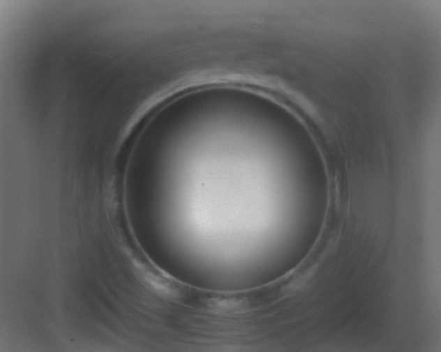 X0000083011501200702091237