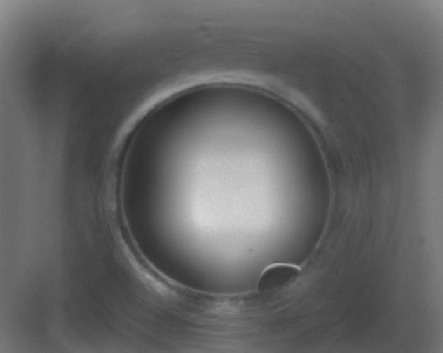 X0000083011504200702091237