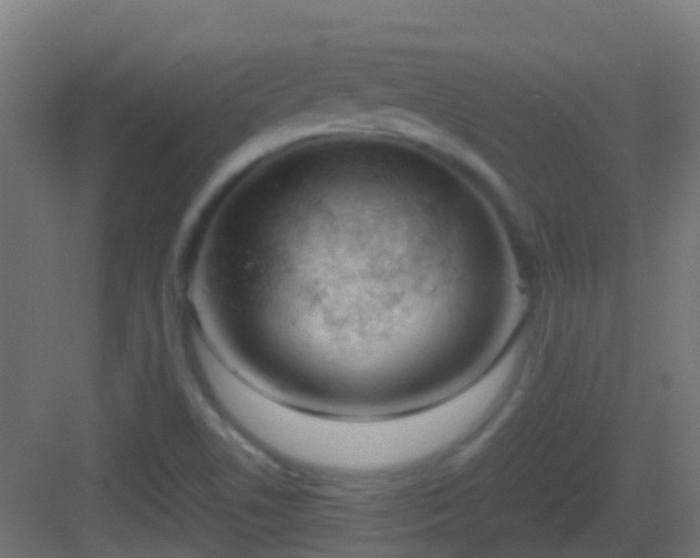 X0000083011506200702091237