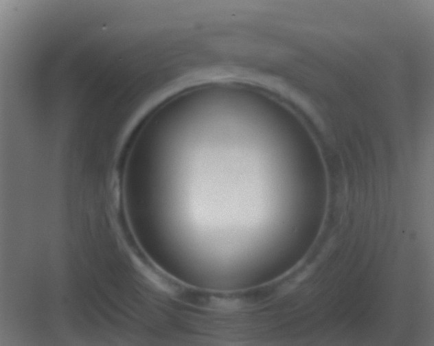 X0000083011509200702091237