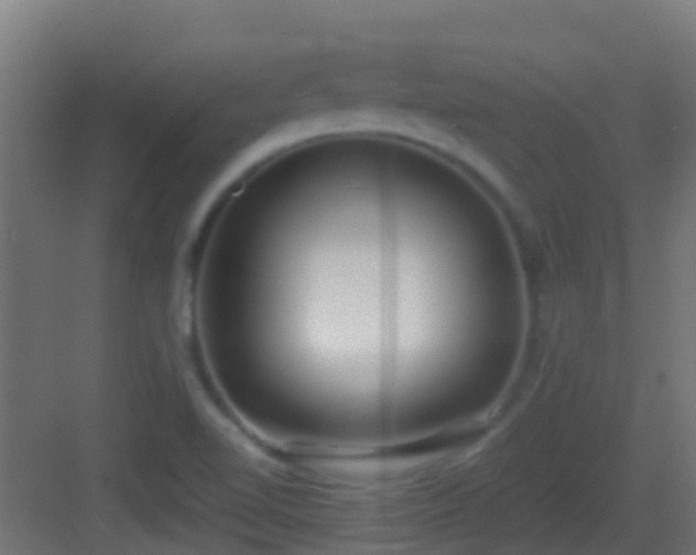 X0000083011510200702091237