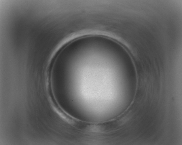 X0000083011511200702091237