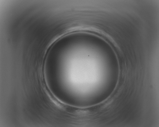 X0000083011513200702091237