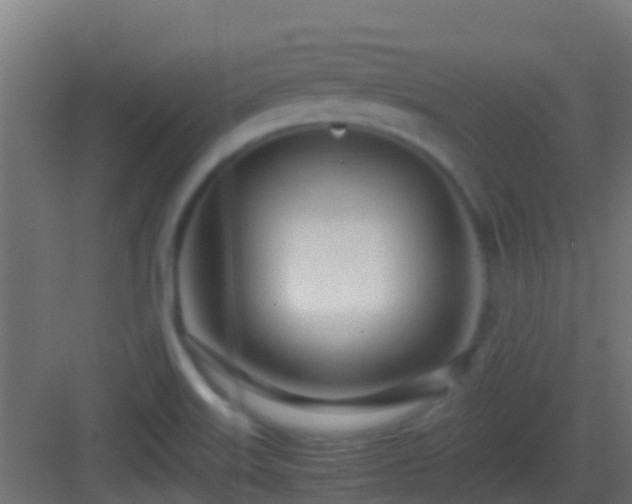 X0000083011515200702091237