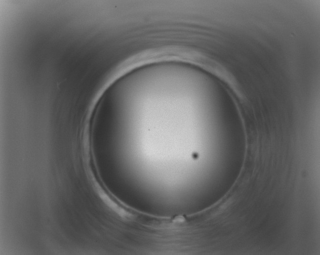 X0000083011516200702091237