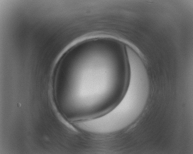 X0000083011518200702091237