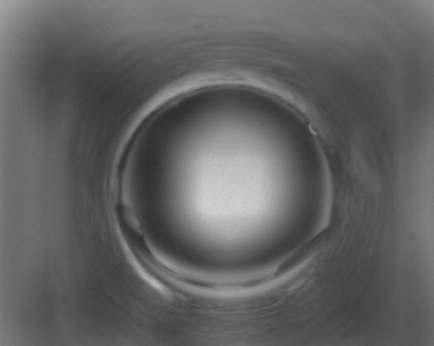 X0000083011519200702091237