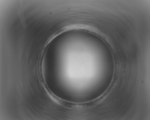 X0000083011521200702091237