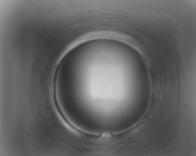 X0000083011523200702091237