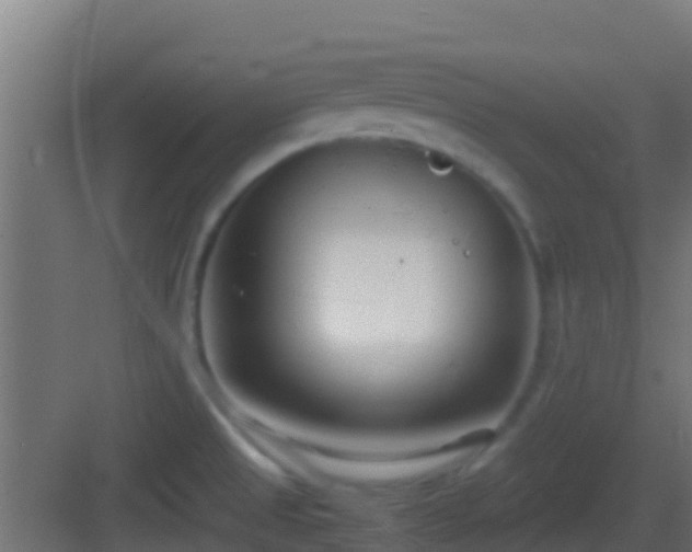 X0000083011525200702091237