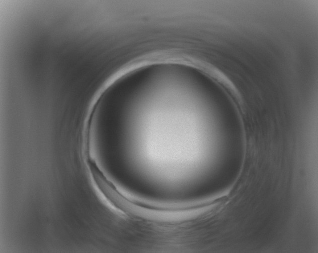 X0000083011528200702091237