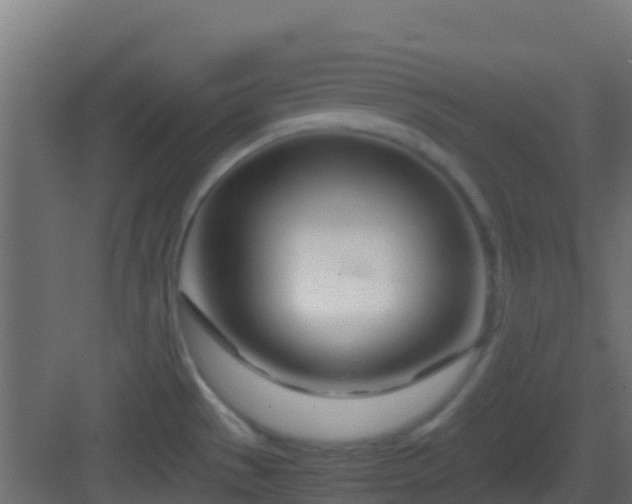 X0000083011529200702091237