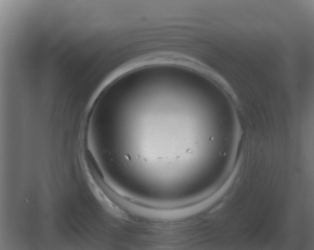 X0000083011530200702091237