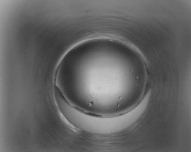 X0000083011532200702091237