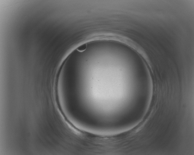 X0000083011533200702091237