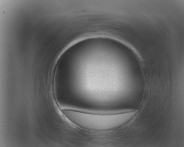 X0000083011534200702091237